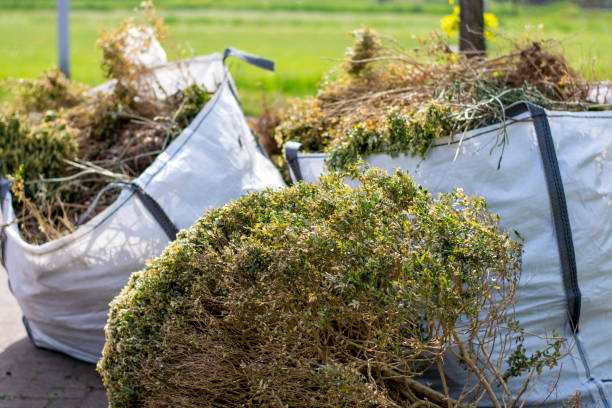 Best Office Junk Removal  in St Leo, FL